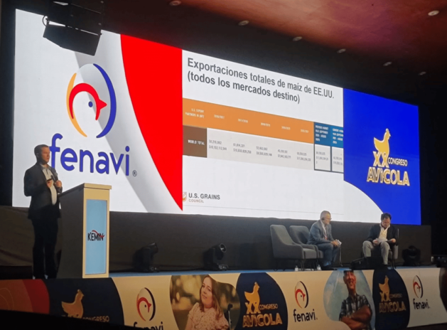 fenavi