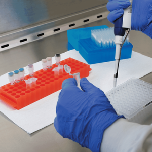 ABC del Diagnóstico en Avicultura