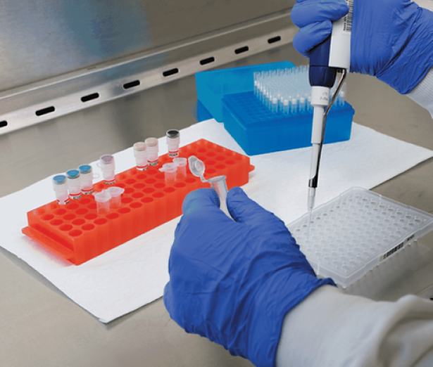 u6-ABC-del-Diagnostico-en-Avicultura