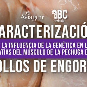 Caracterización de la influencia de la genética en las miopatías del músculo de la pechuga. I Parte
