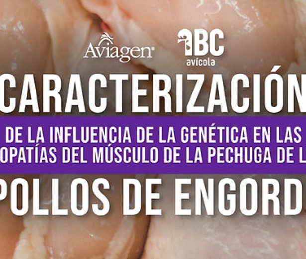 u6-Caracterizacion-de-la-influencia-de-la-genetica-en-las-miopatias-del-musculo-de-la-pechuga.-I-Parte