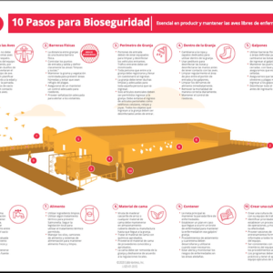 10 Pasos para Bioseguridad
