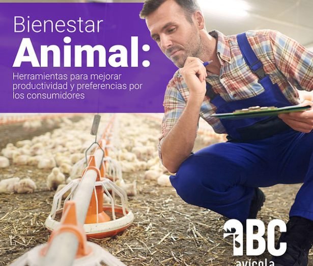 u6-Bienestar-Animal-Productividad-y-Consumidores