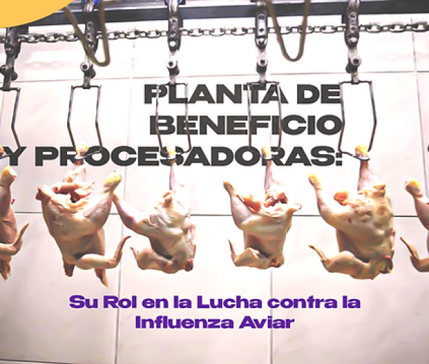 u6-Las-Plantas-Faenadoras-Participantes-Activos-Para-Prevenir-El-Ingreso-De-Influenza-Aviar