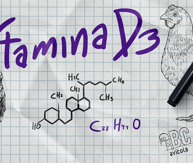 u6-Enfermedades-Carenciales-Deficiencia-De-Vitamina-D