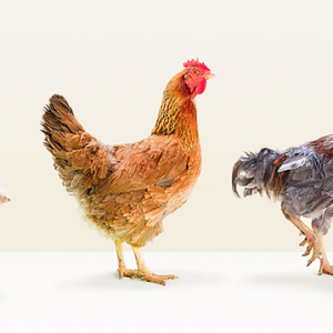 Para retener a sus mejores empleados, invierta en sus mejores directivos