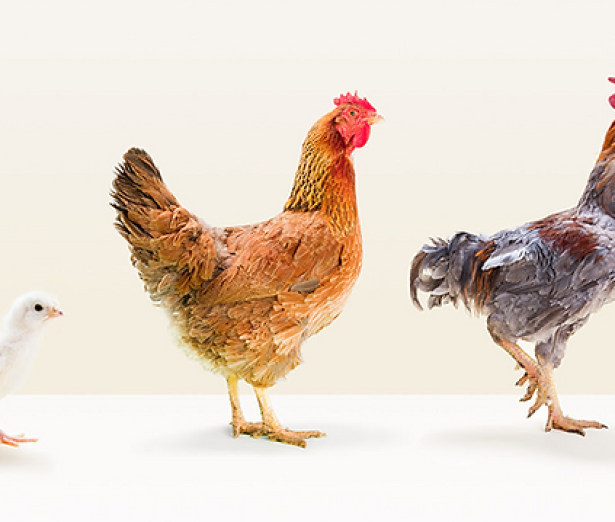 u6-Para-retener-a-sus-mejores-empleados-invierta-en-sus-mejores-directivos