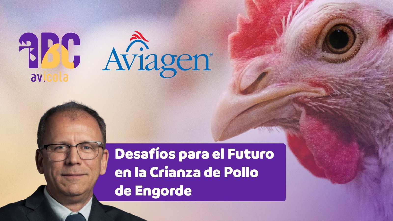 Desafíos para el futuro en la crianza de pollo de engorde