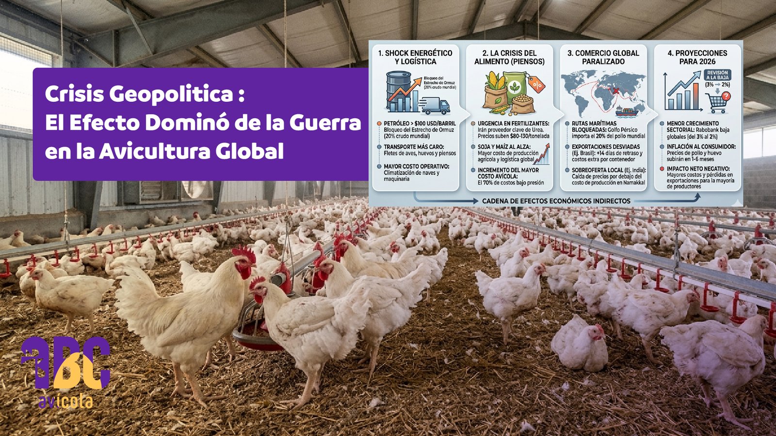 Crisis geopolítica y su impacto en la avicultura global