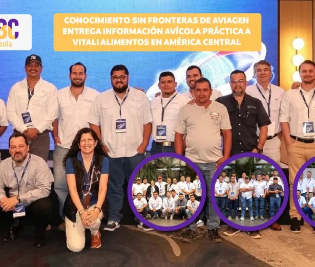 Aviagen Conocimiento Sin Fronteras Vitali Alimentos