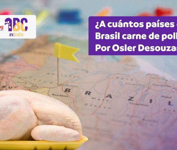 brasil_exportacion_pollo