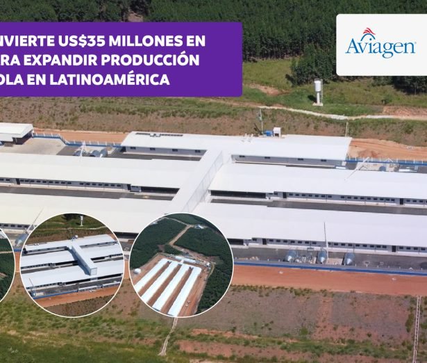 aviagen_brasil