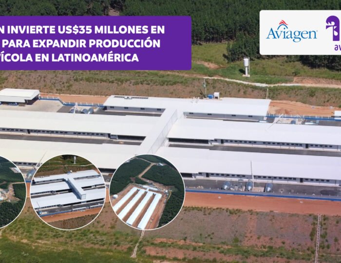 aviagen_brasil