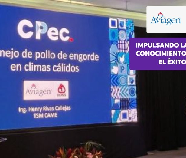 aviagen_costarica