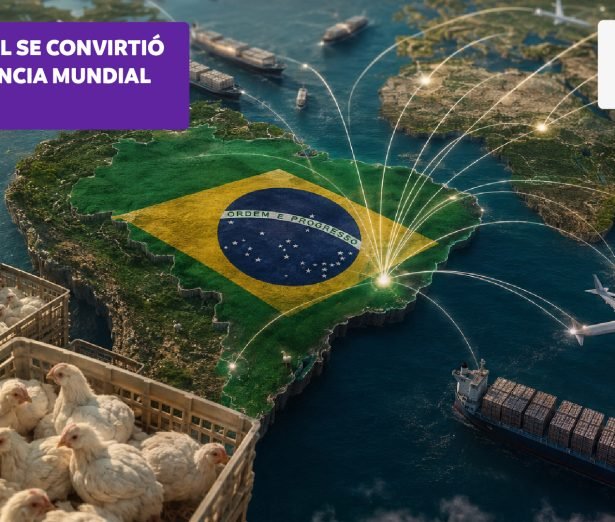 abc avicola-brasil.jpg