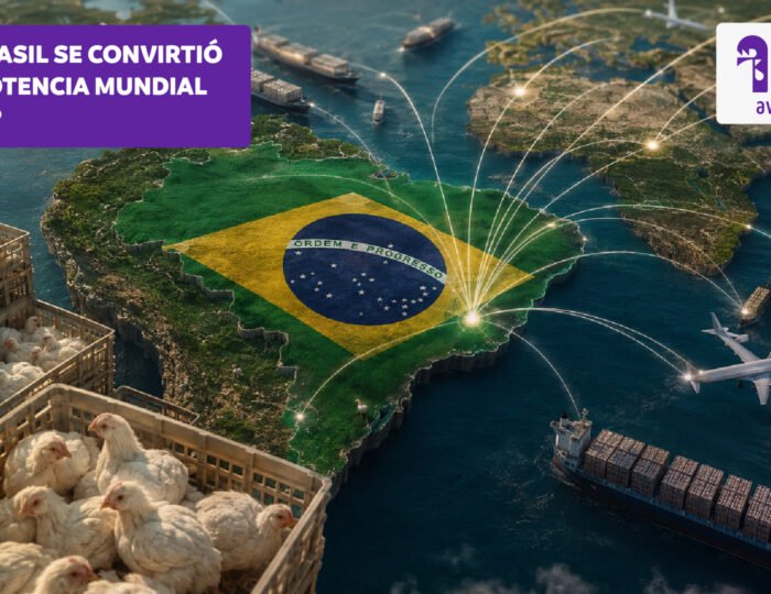 abc avicola-brasil.jpg